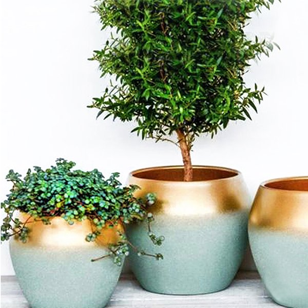 Planter Pot