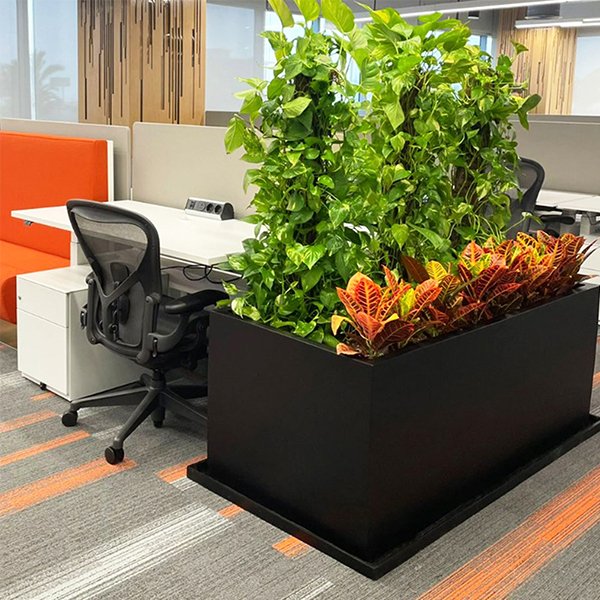 Minzaa Terrazo Planter Pot