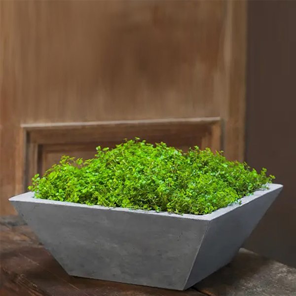 Darra Planter Pot