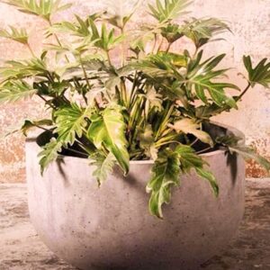 Drift Planter Pot